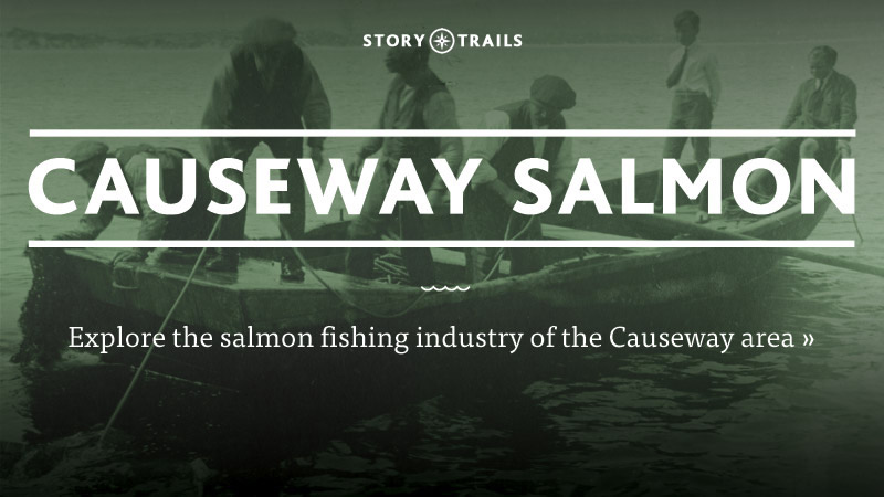 Causeway Salmon