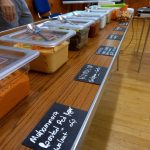 a line of cold meze samples