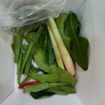 fresh herbs and spices